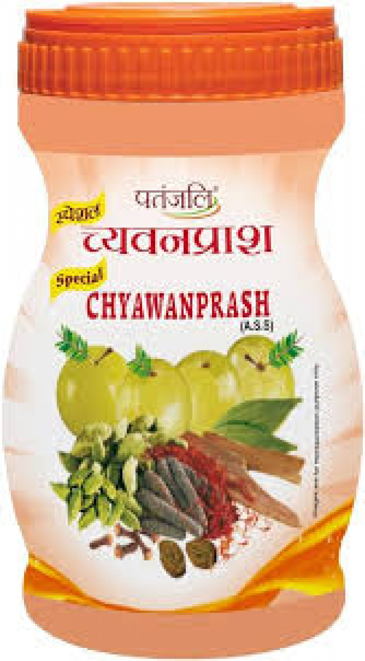 Ayurscape - Front Image of Patanjali Special Chyawanprash