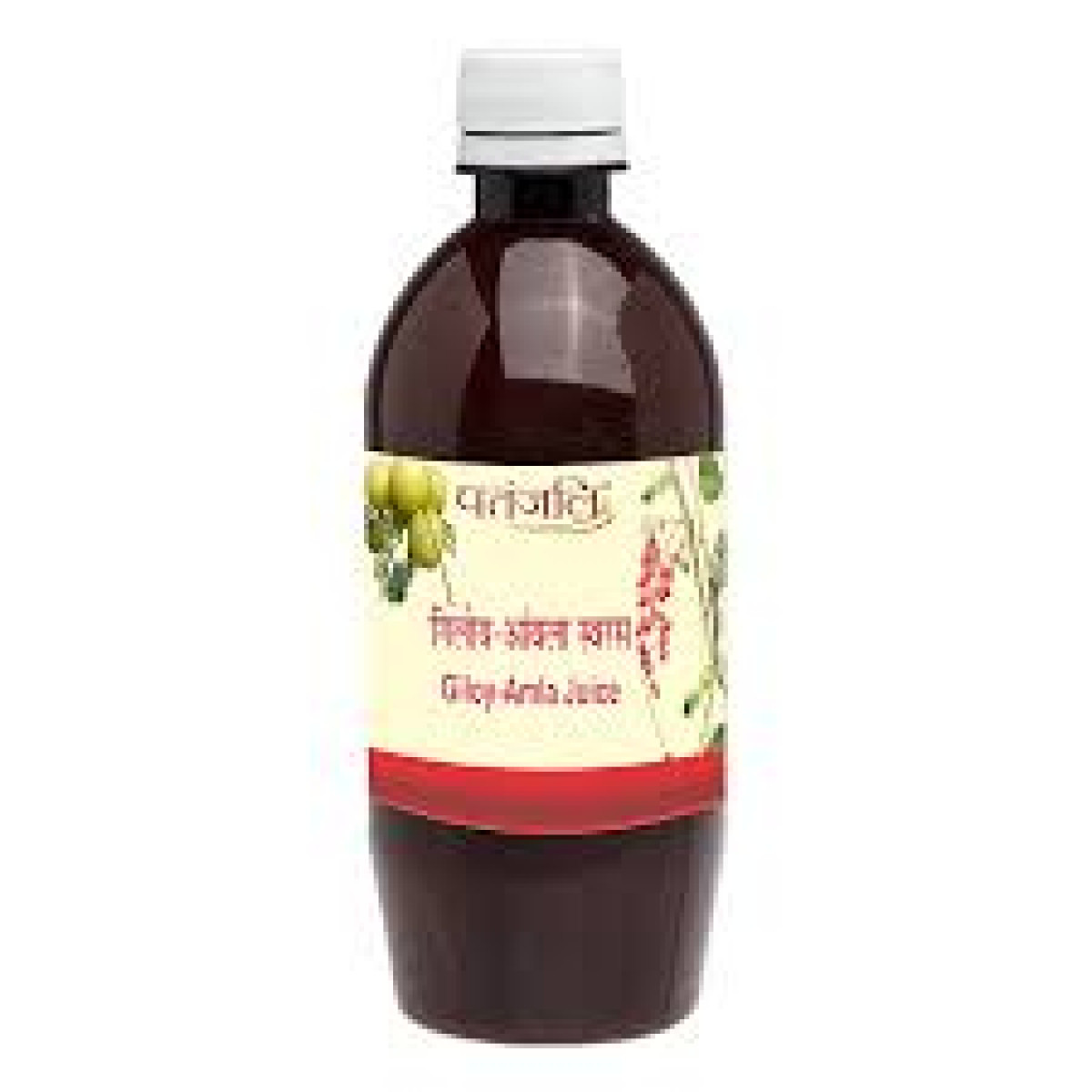 Patanjali Giloy Amla Juice