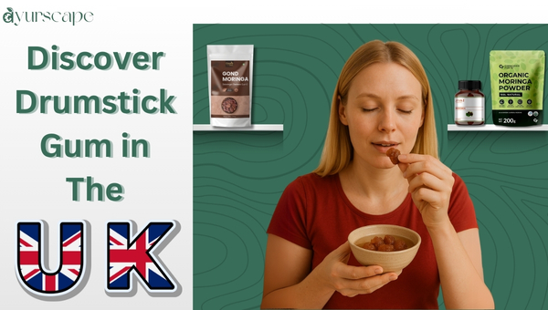 Drumstick gum moringa