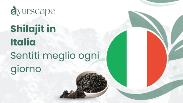Shilajit in Italia