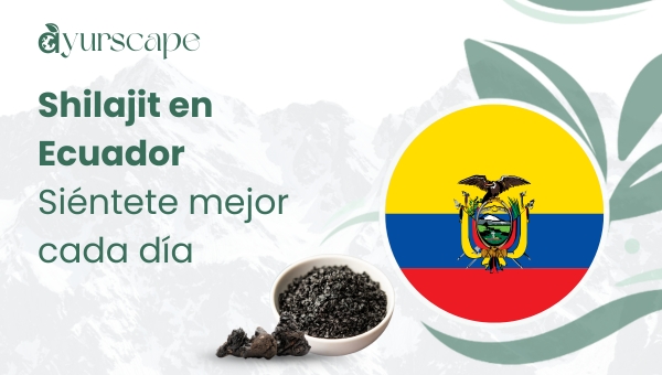 Shilajit en Ecuador