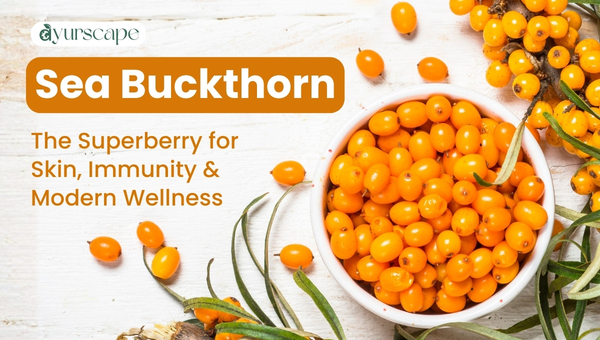 Sea Buckthorn
