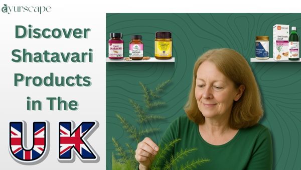 Buy Shatavari in the UK