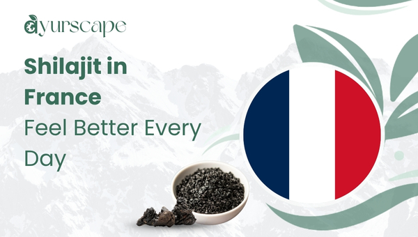 Shilajit in France
