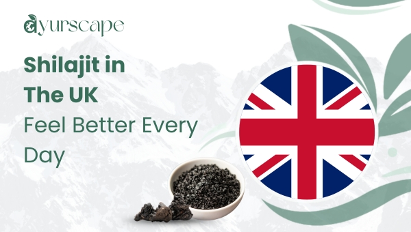 Shilajit in the UK