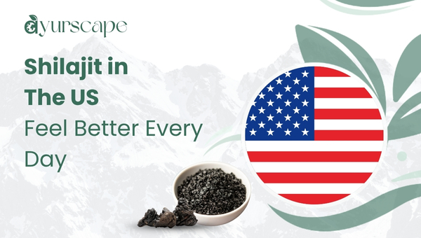 Shilajit in the US