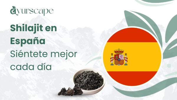 Shilajit en España