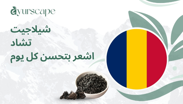 شيلاجيت في تشاد