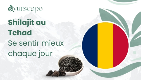 Shilajit en Tchad