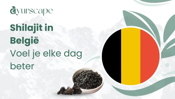 Shilajit in België