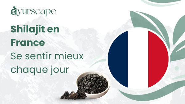 Shilajit en France