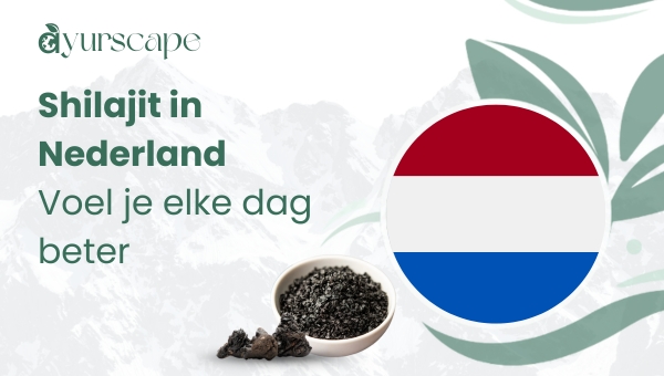 Shilajit in Nederland