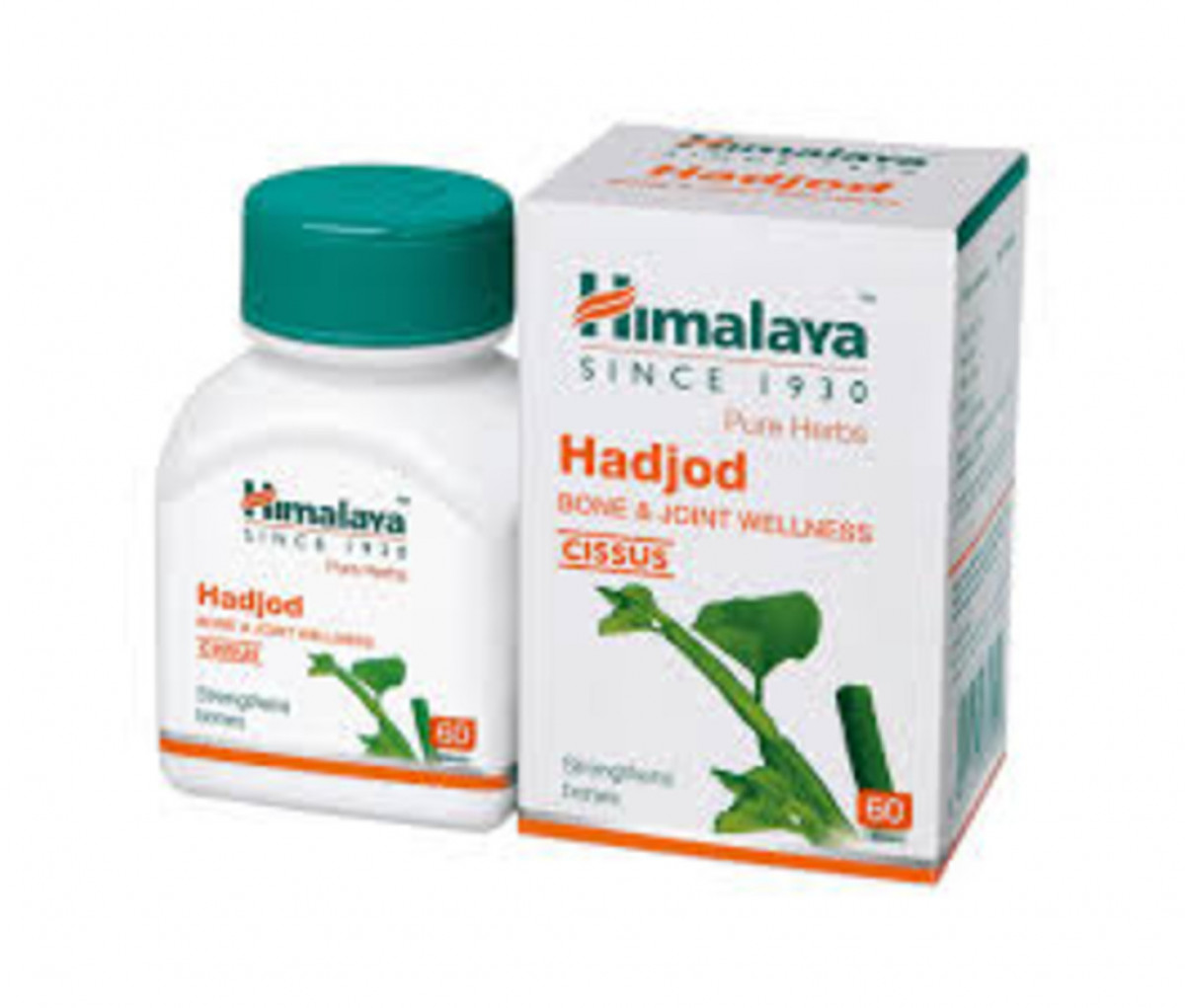 HIMALAYA HADJOD 60 CAP